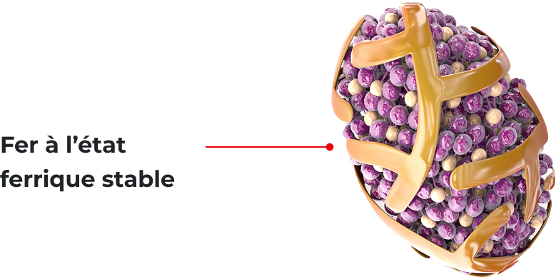 Fer &agrave; l&rsquo;&eacute;tat ferrique stable